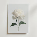 Bozetto White peony Poster föreställer en vit pion med gröna blad på en enfärgad bakgrund, tryckt på premiumpapper - perfekt för minimalistisk inredning och elegant när den monteras på en vit vägg.