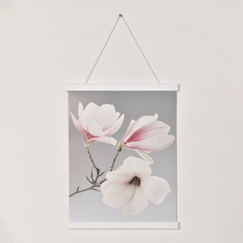 Posterhängare Vit Ek med magnet