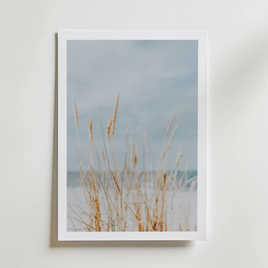 Soft Dune Grass Poster