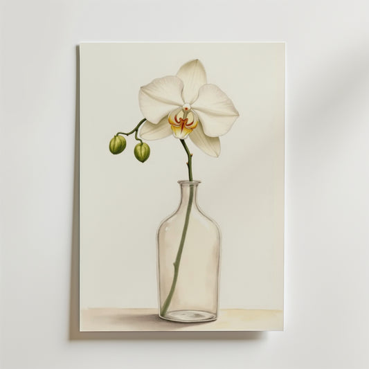 Elegant White Orchid In Glass Vase Poster