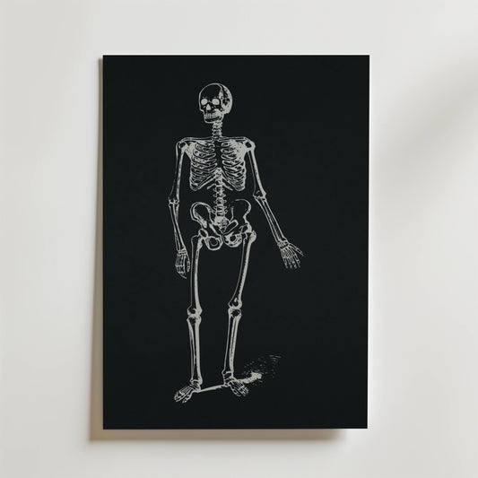 Dancing Skeleton Poster