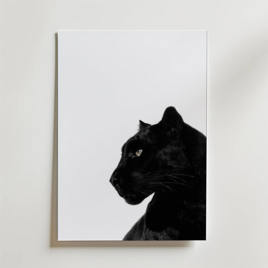 Midnight Panther Poster