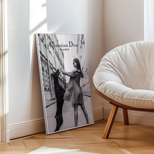 Christian Dior Paris Poster