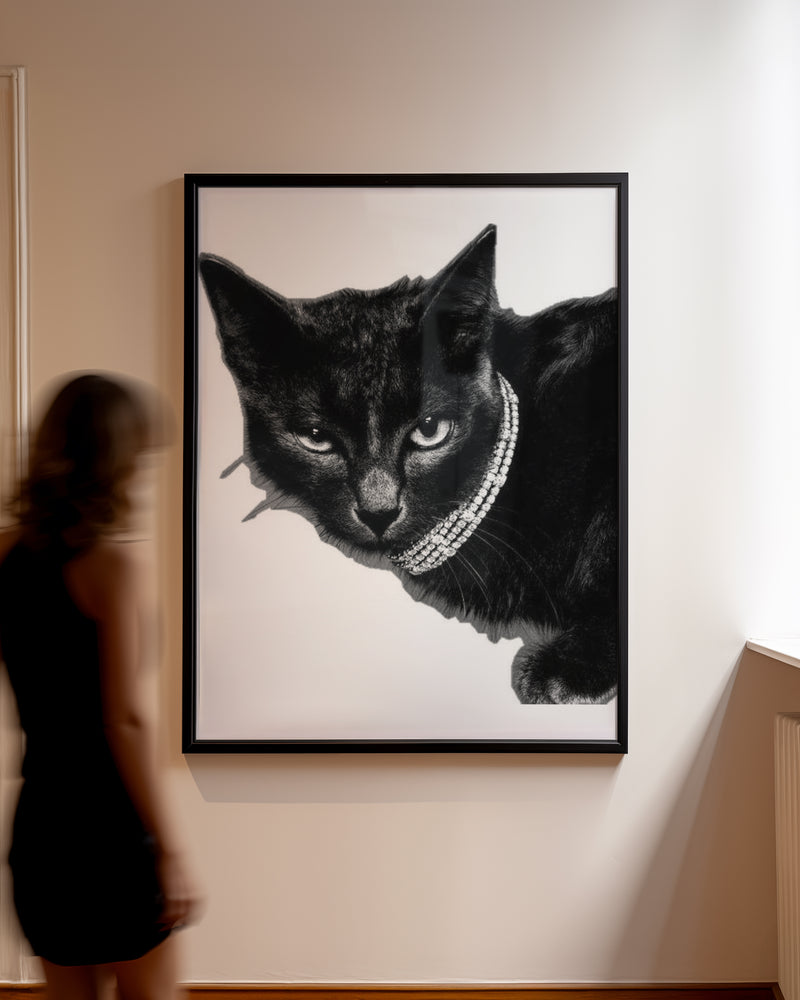Chic Black Cat Poster