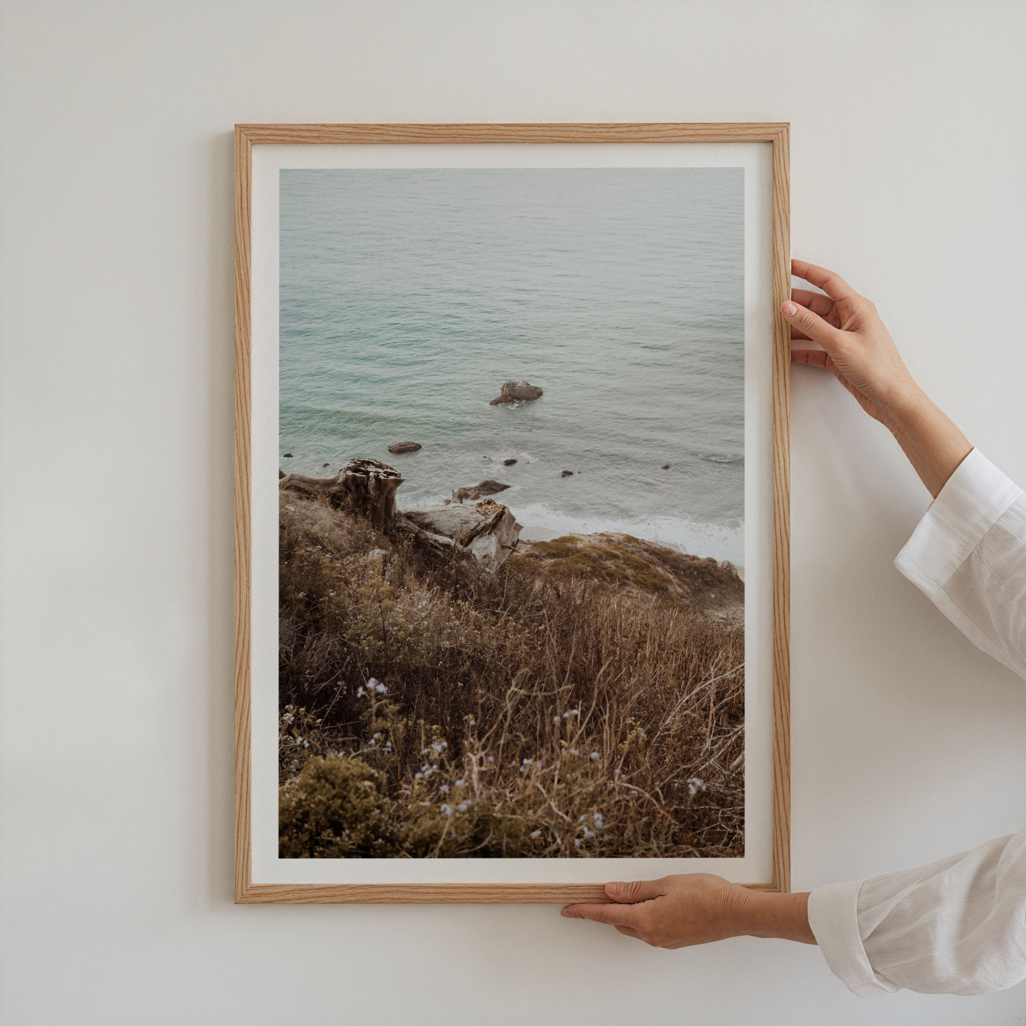 Wild Coastline Vista Poster