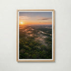 Rainforest at Sunrise Poster