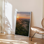 Rainforest at Sunrise Poster