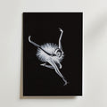 Helena Engström White Swan Poster