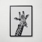 Cheeky Giraffe Poster – svart ram