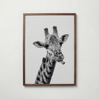 Cheeky Giraffe Poster – valnötsram