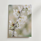 Blossom Serenity Poster affisch – poster till väggdekoration – köp online hos Bozetto