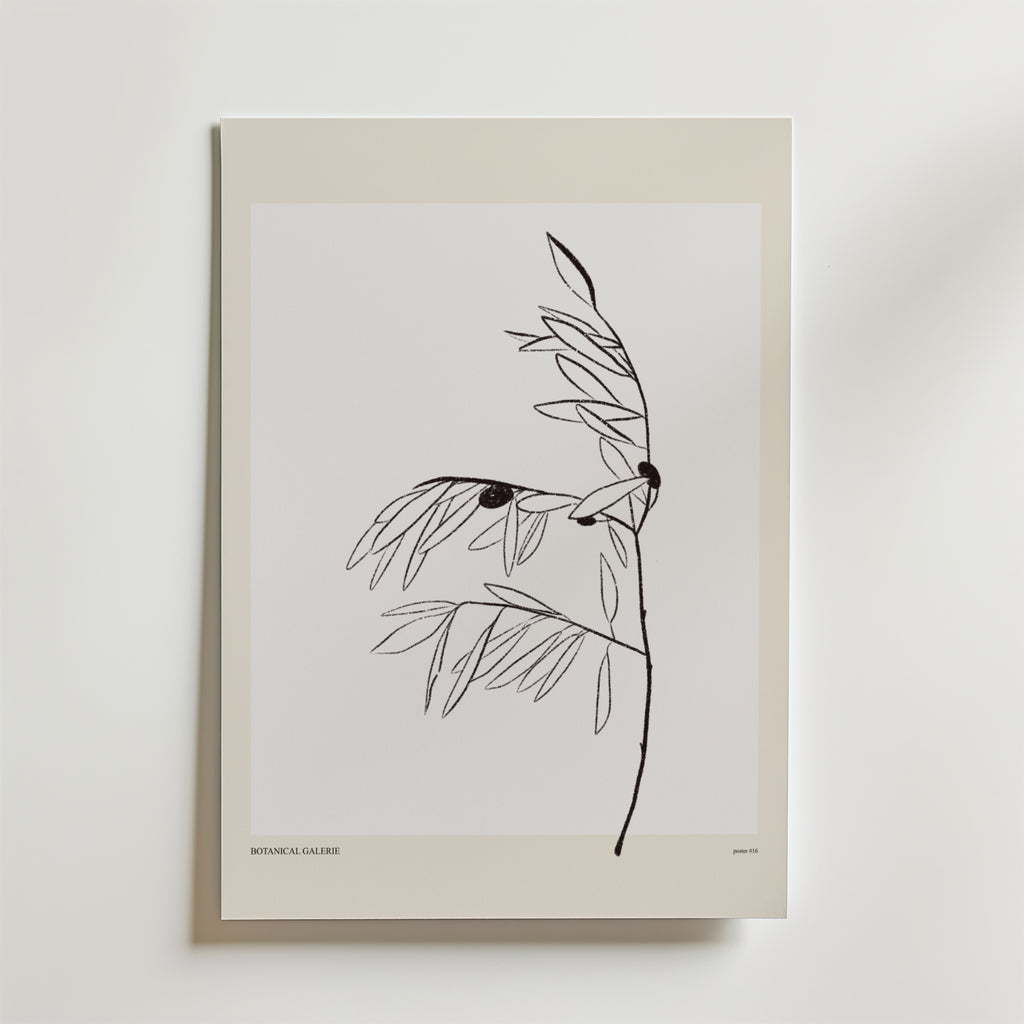 Olive Whisper Poster by Bozetto är en minimalistisk botanisk konstprint med en tunn svart stam, smala blad och två mörka cirklar på en vit bakgrund med en ljusbeige kant. "BOTANICA GALLERIE" är tryckt längst ner.