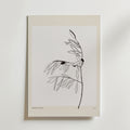 Olive Whisper Poster by Bozetto är en minimalistisk botanisk konstprint med en tunn svart stam, smala blad och två mörka cirklar på en vit bakgrund med en ljusbeige kant. "BOTANICA GALLERIE" är tryckt längst ner.