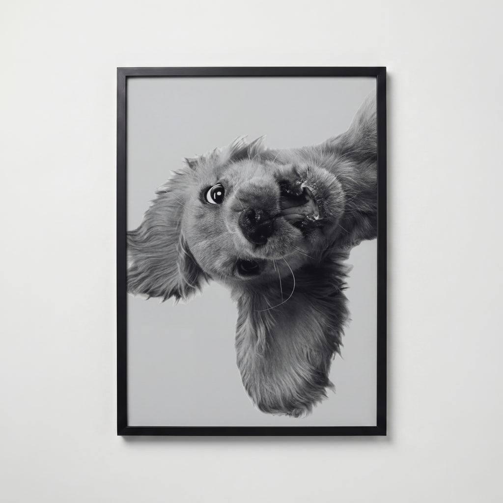 Puppy Play Poster – svart ram