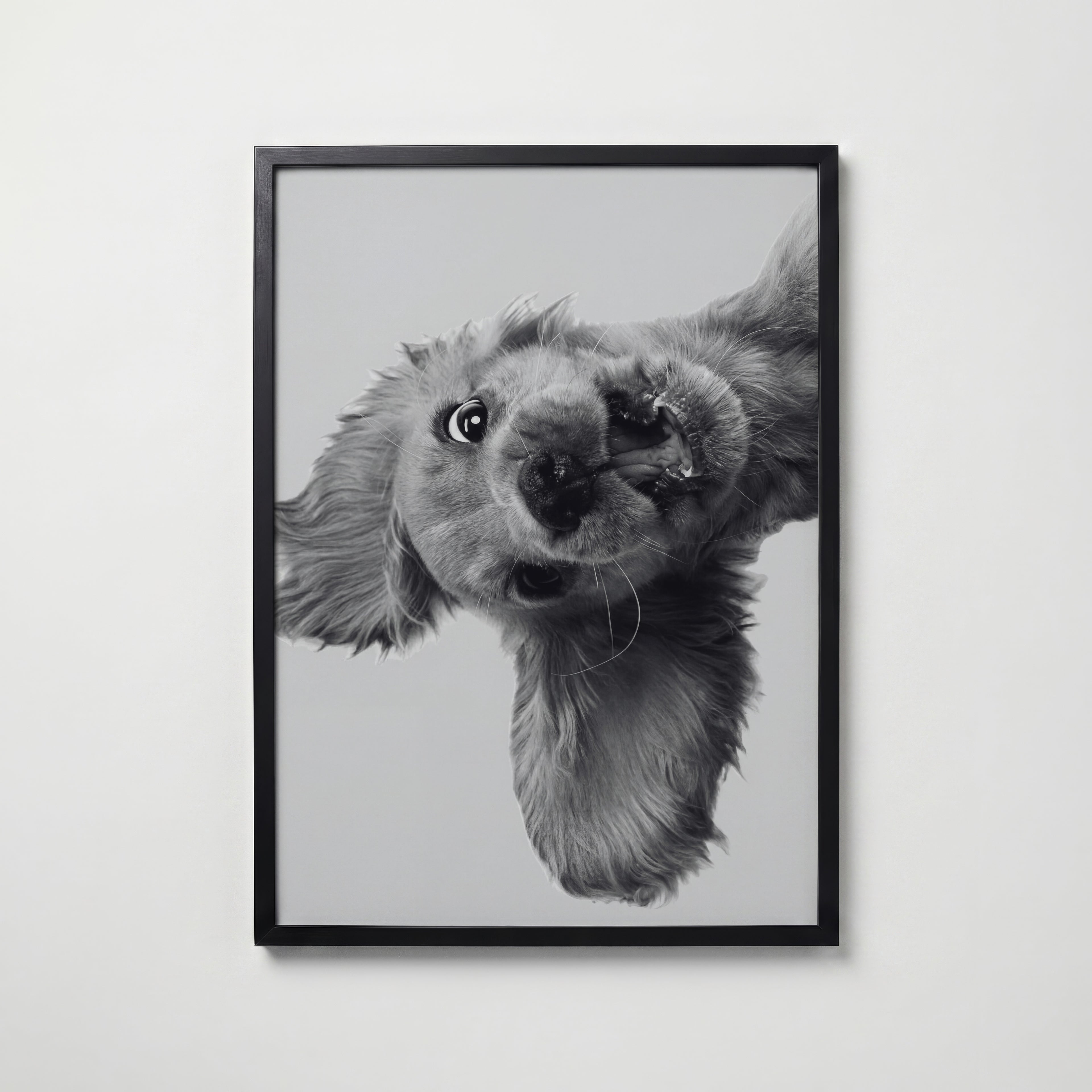 Puppy Play Poster – svart ram