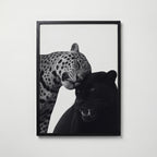 Spots and Shadow Poster – svart ram