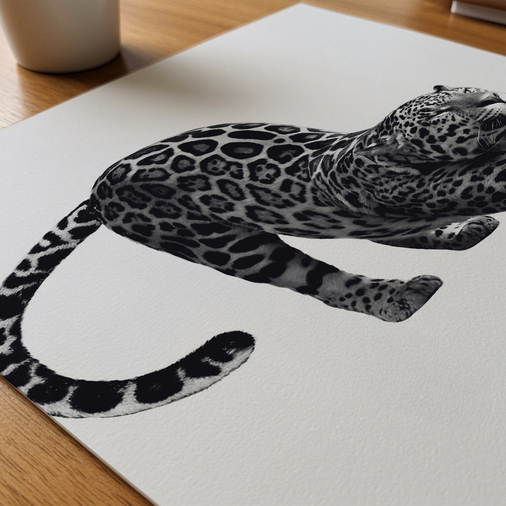 Stretching Leopard Poster – närbild på papper